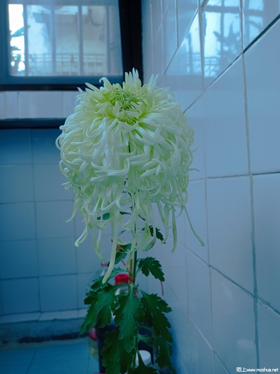 ΢��ͼƬ_20221127180357.jpg