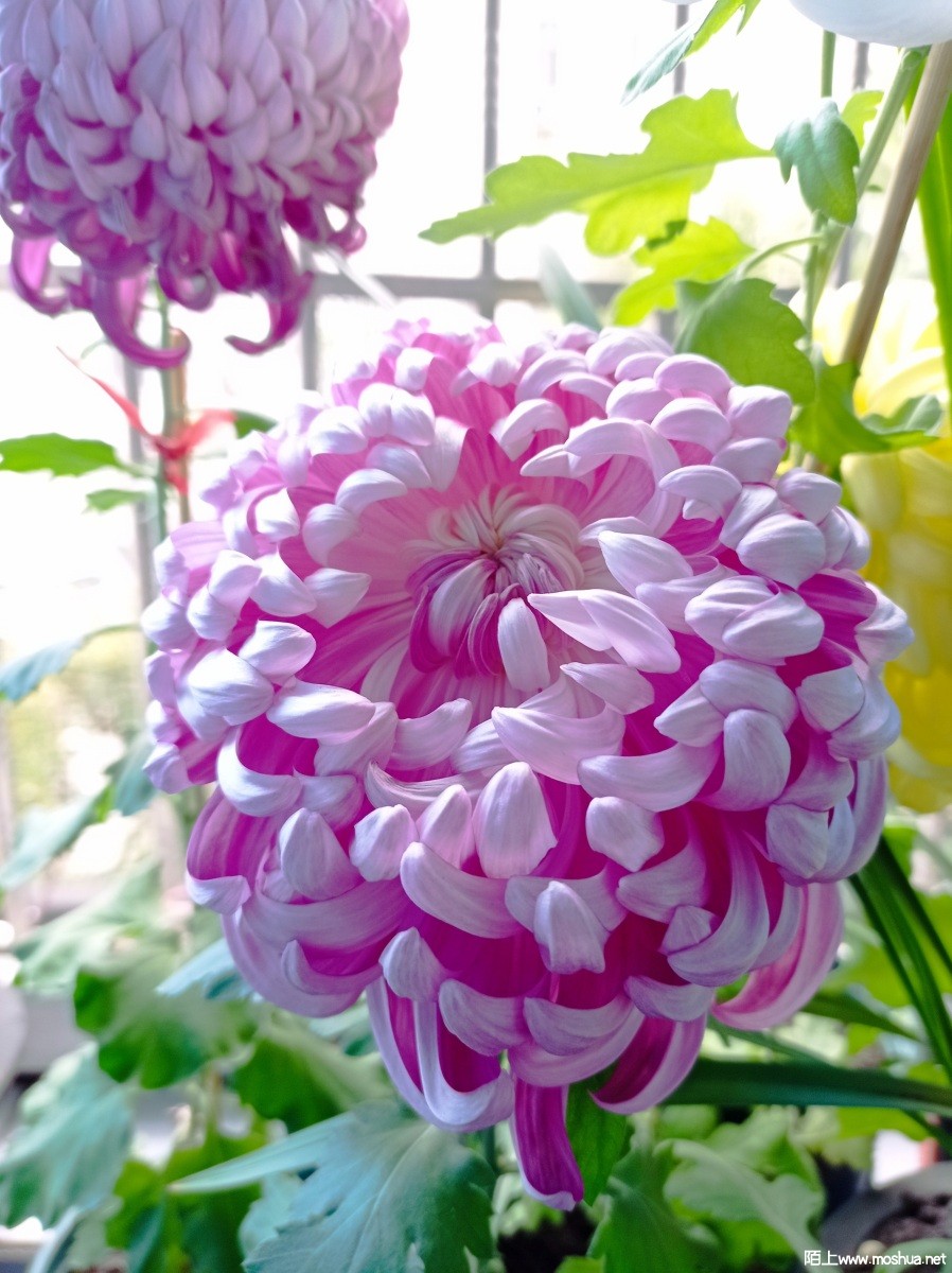 ΢��ͼƬ_20221127180402.jpg
