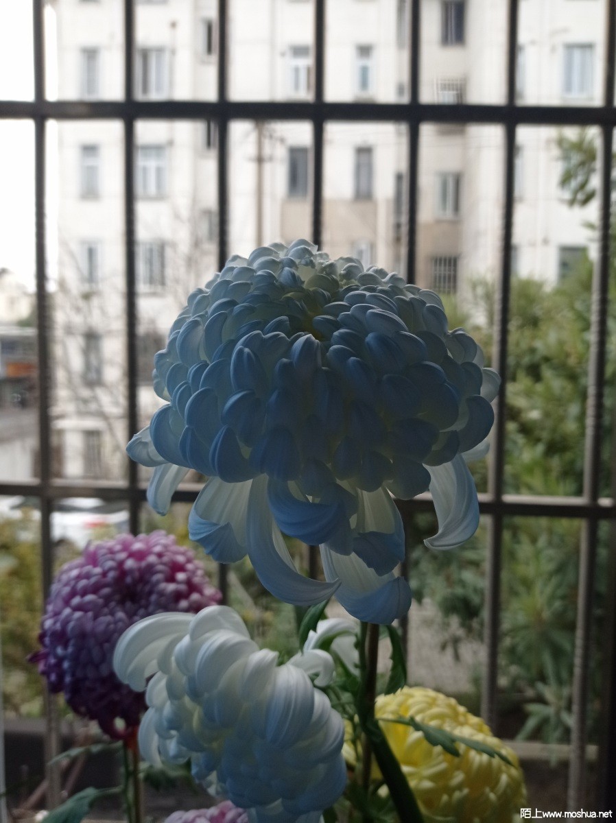 ΢��ͼƬ_20221127180417.jpg