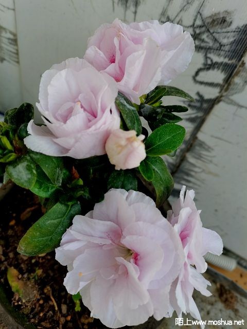 IMG_20221215_094146.jpg