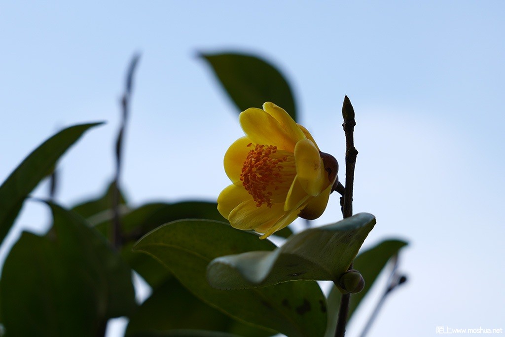 DSC00141.JPG