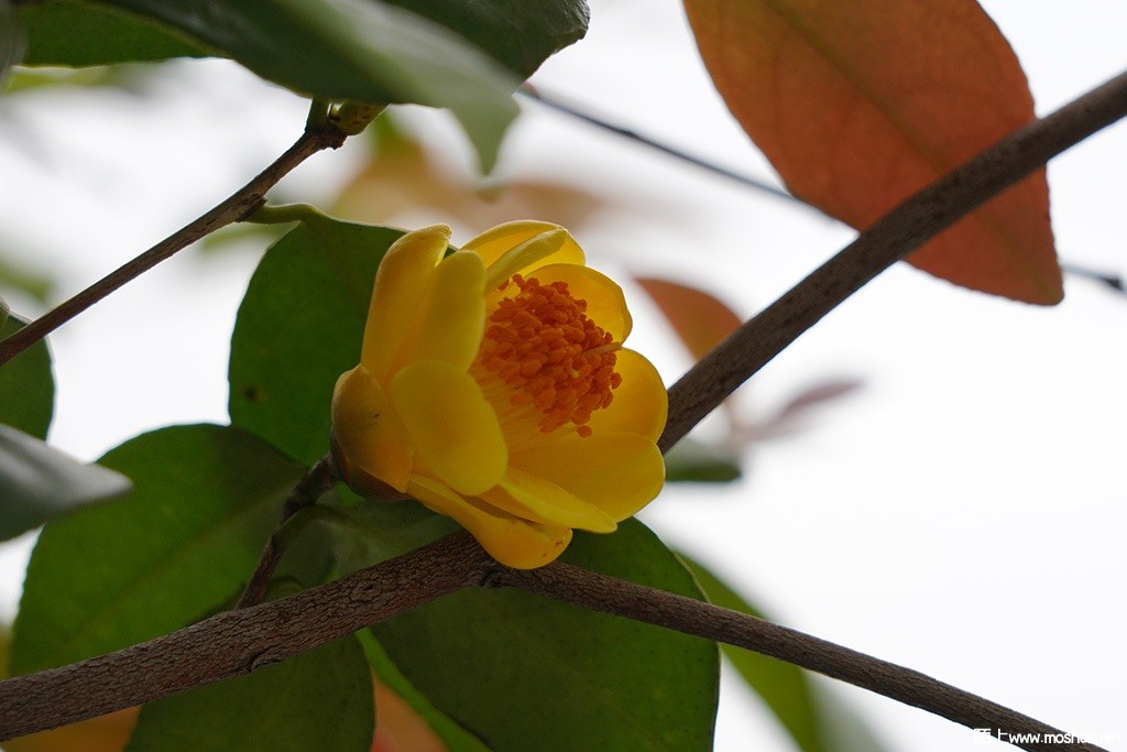 DSC00536.JPG