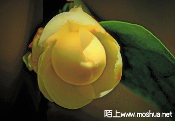 �W�W���AAAAAA (3)-250.jpg