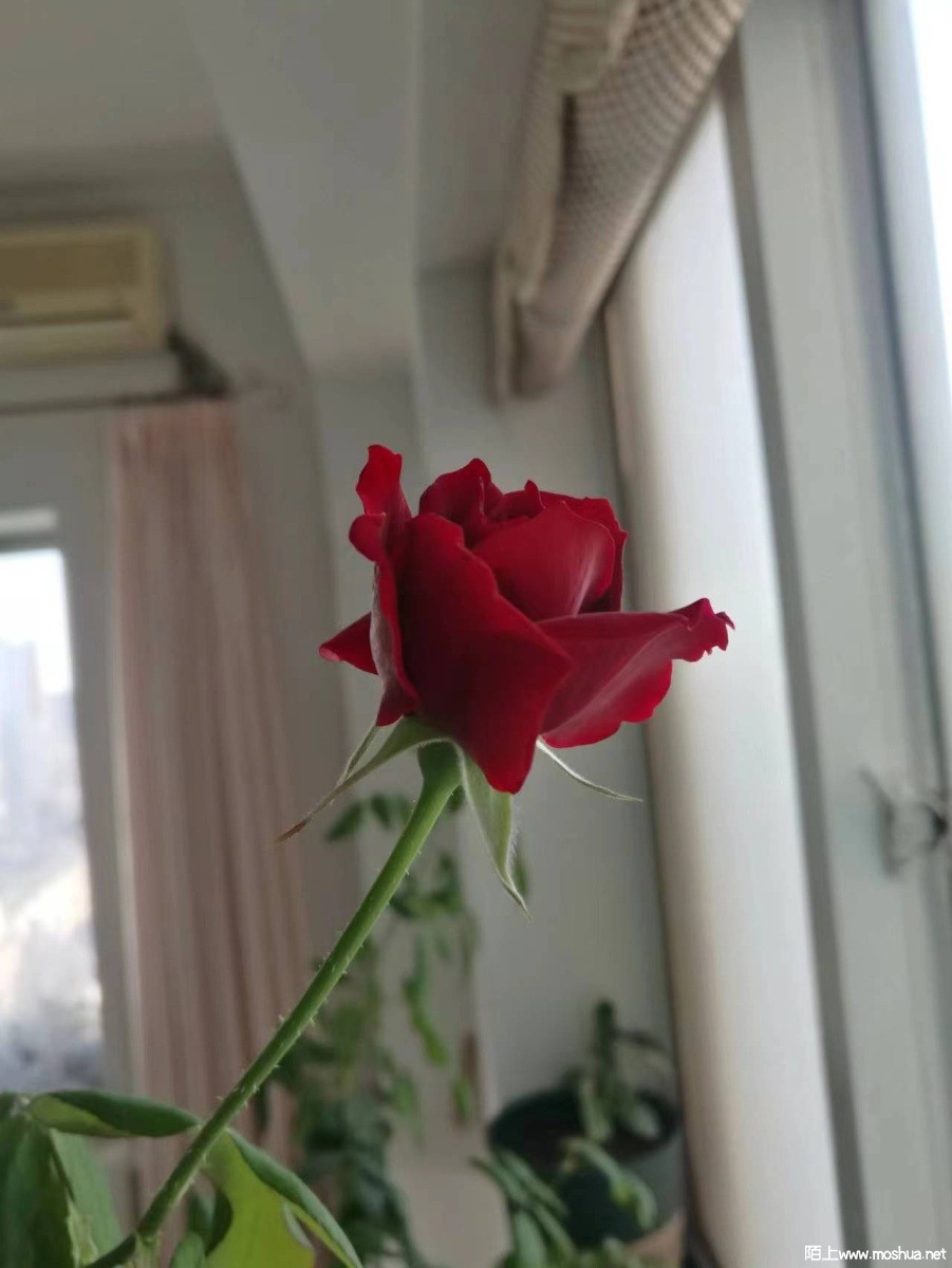 ΢��ͼƬ_20230101112920.jpg