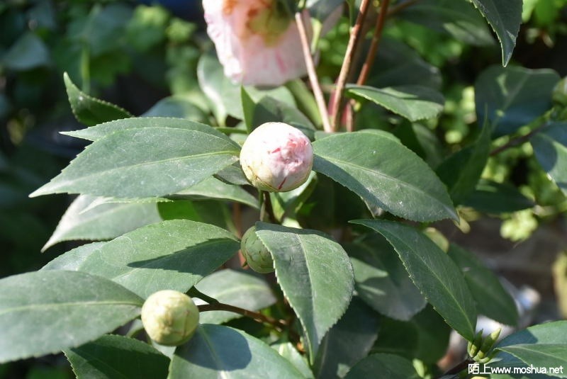 DSC_02940294.JPG