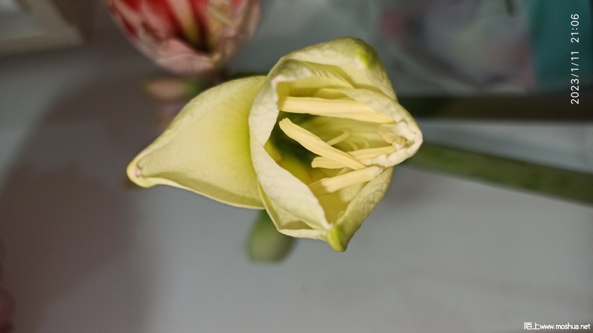 IMG_20230111_210636.jpg