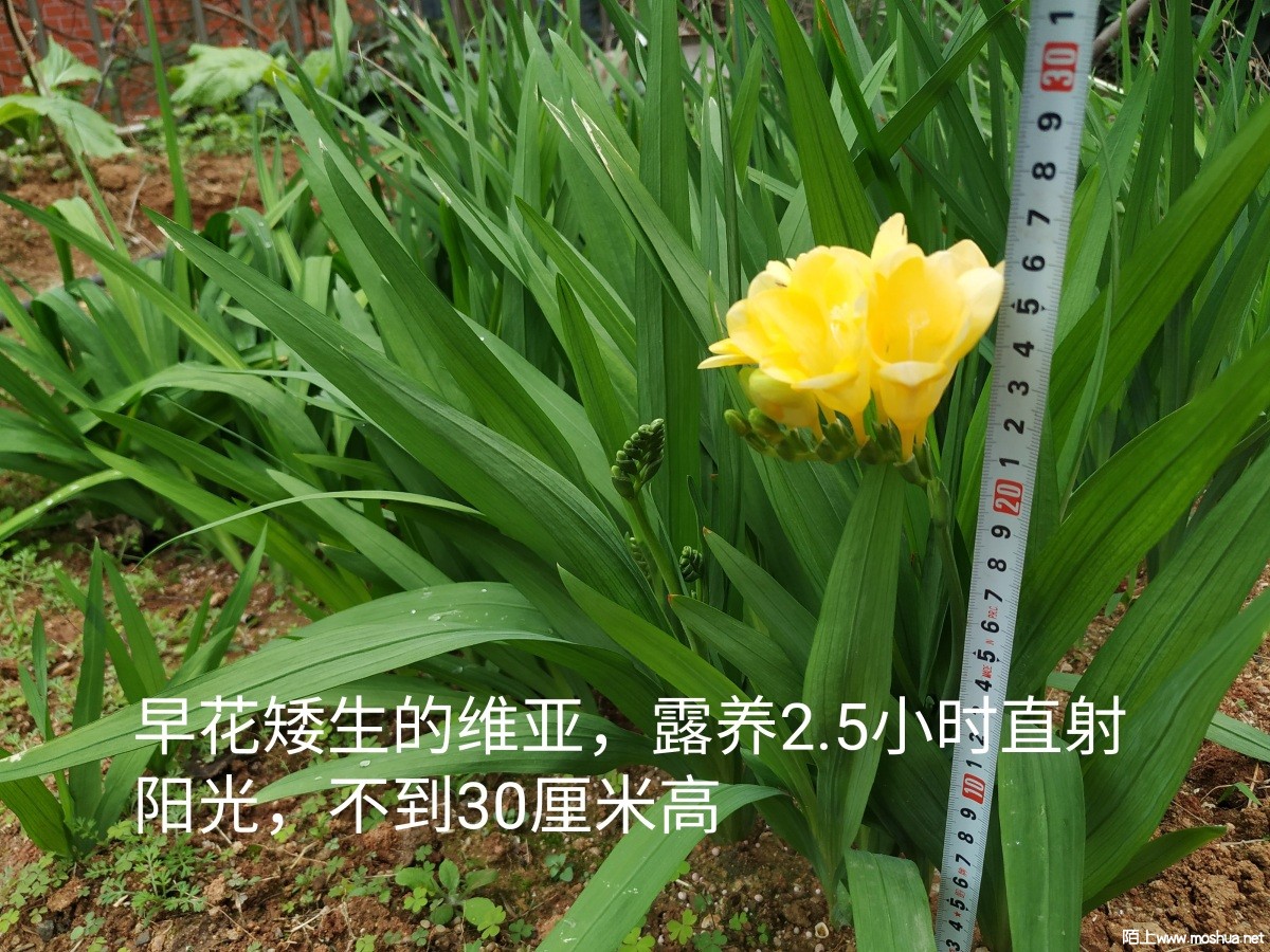 IMG_20230127_114638.jpg