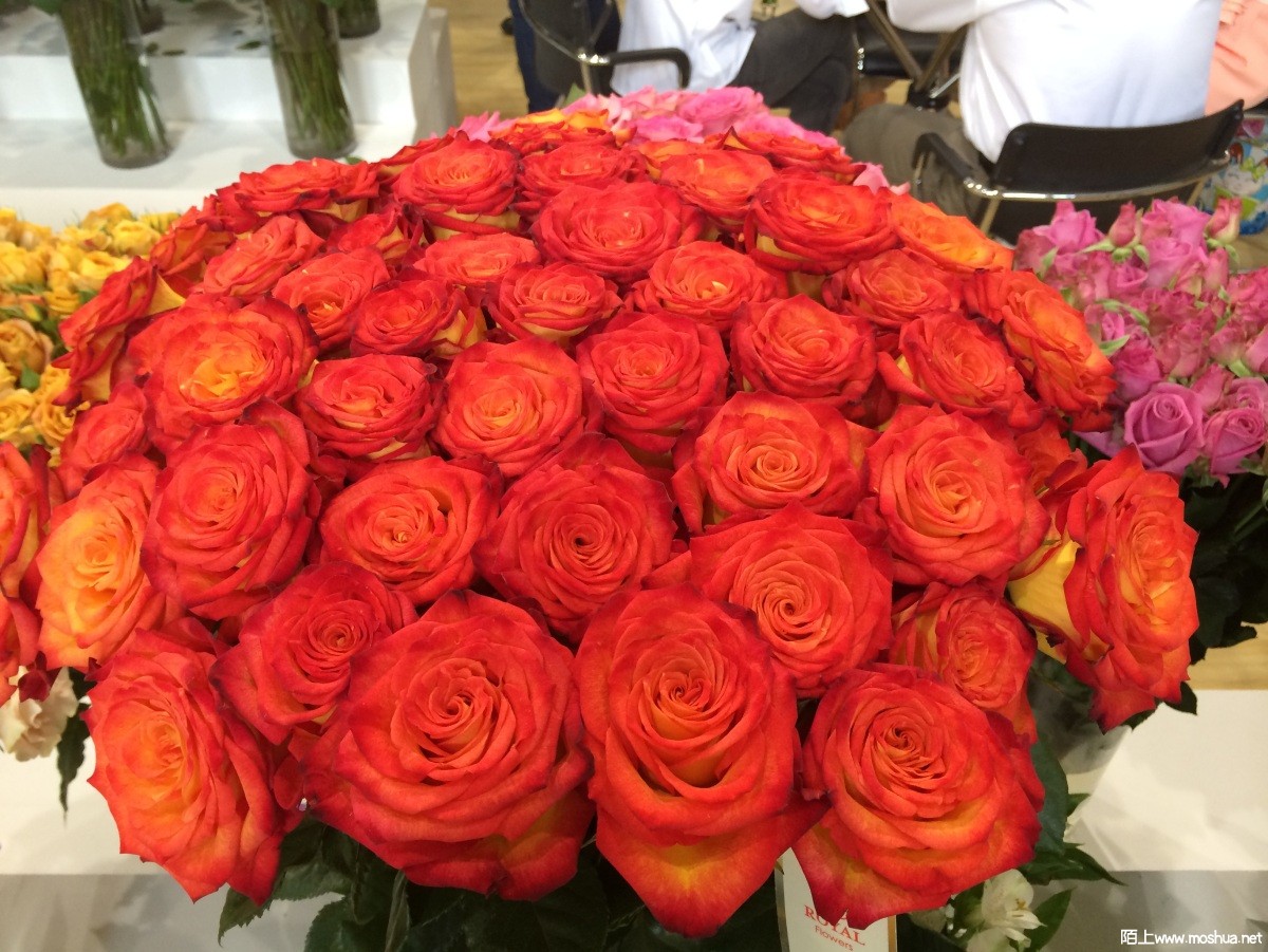 2014-04-25 141414.jpg