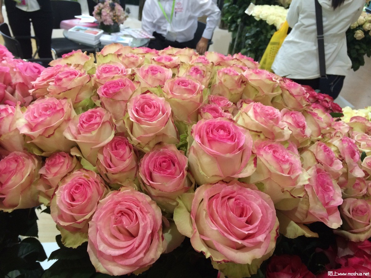 2014-04-25 143108.jpg