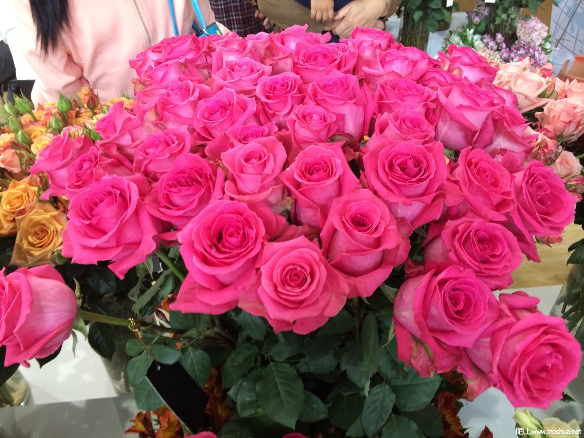 2014-04-25 141339.jpg