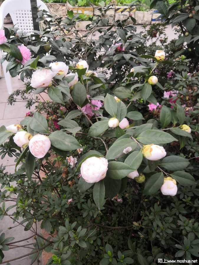 IMG_20230211_120057.jpg