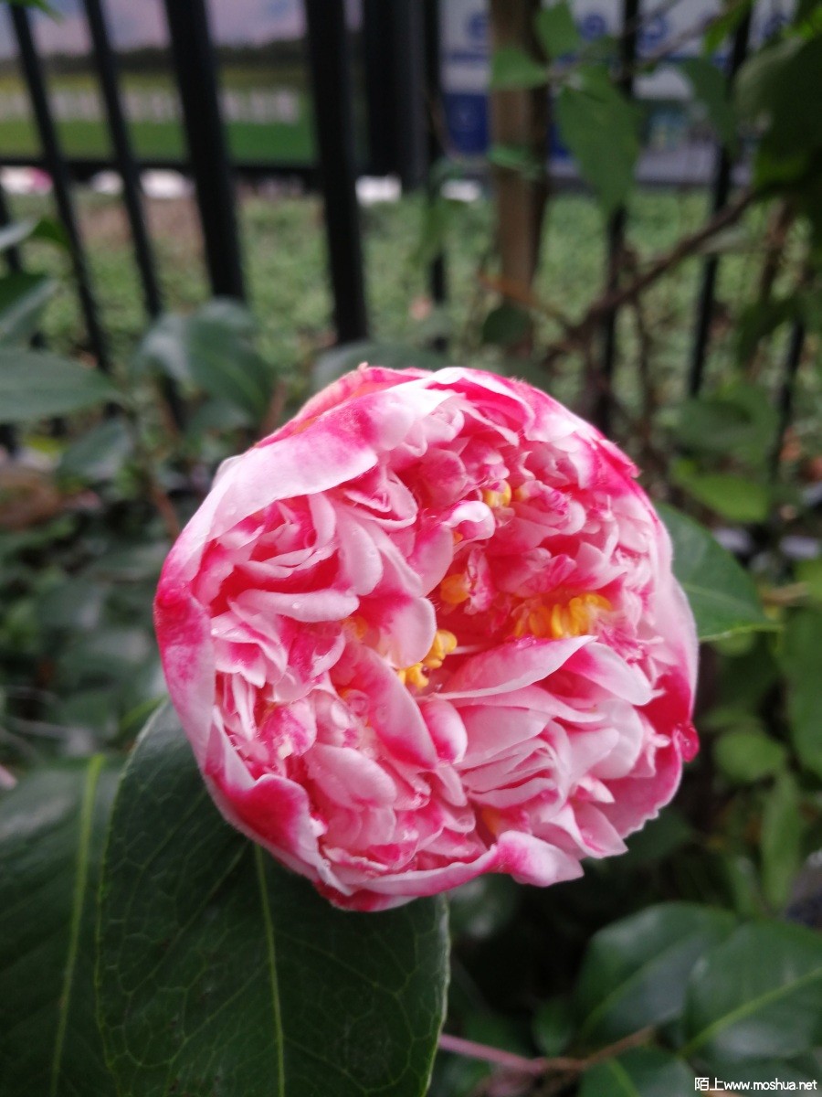 410125363.jpg