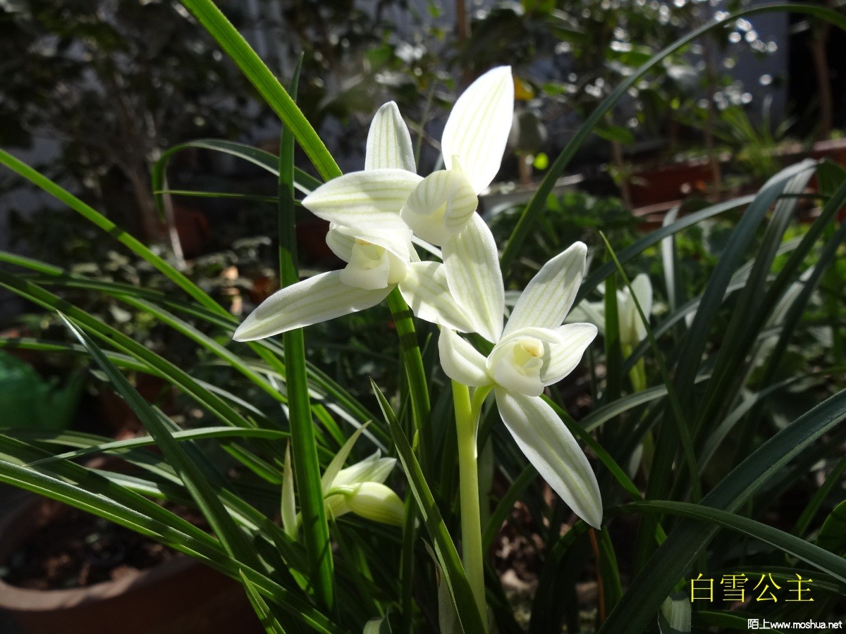 DSC05530.jpg