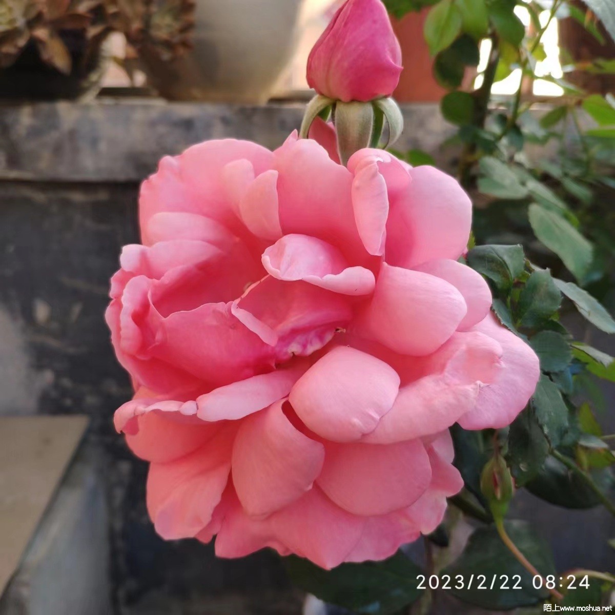 ΢��ͼƬ_20230225220717.jpg