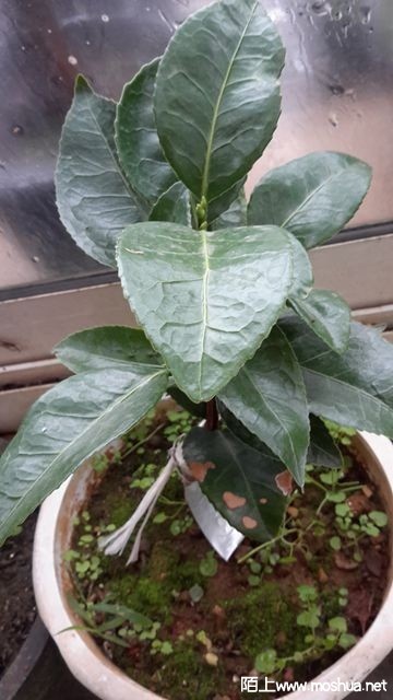 20191125_152419_����.jpg