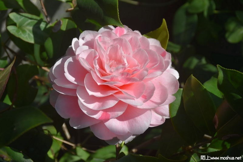 DSC_02200220.JPG