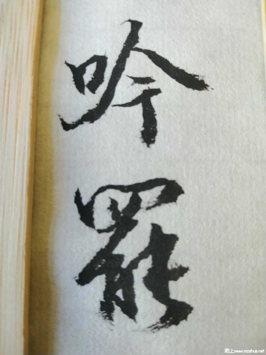 1677731928601703.jpeg
