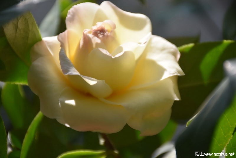 DSC_02300230.JPG
