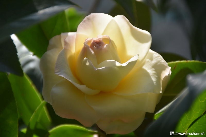 DSC_02420242.JPG