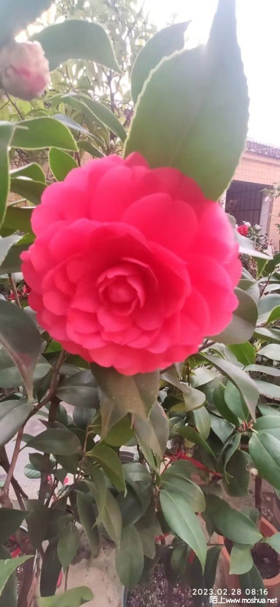 ΢��ͼƬ_20230305153855.jpg