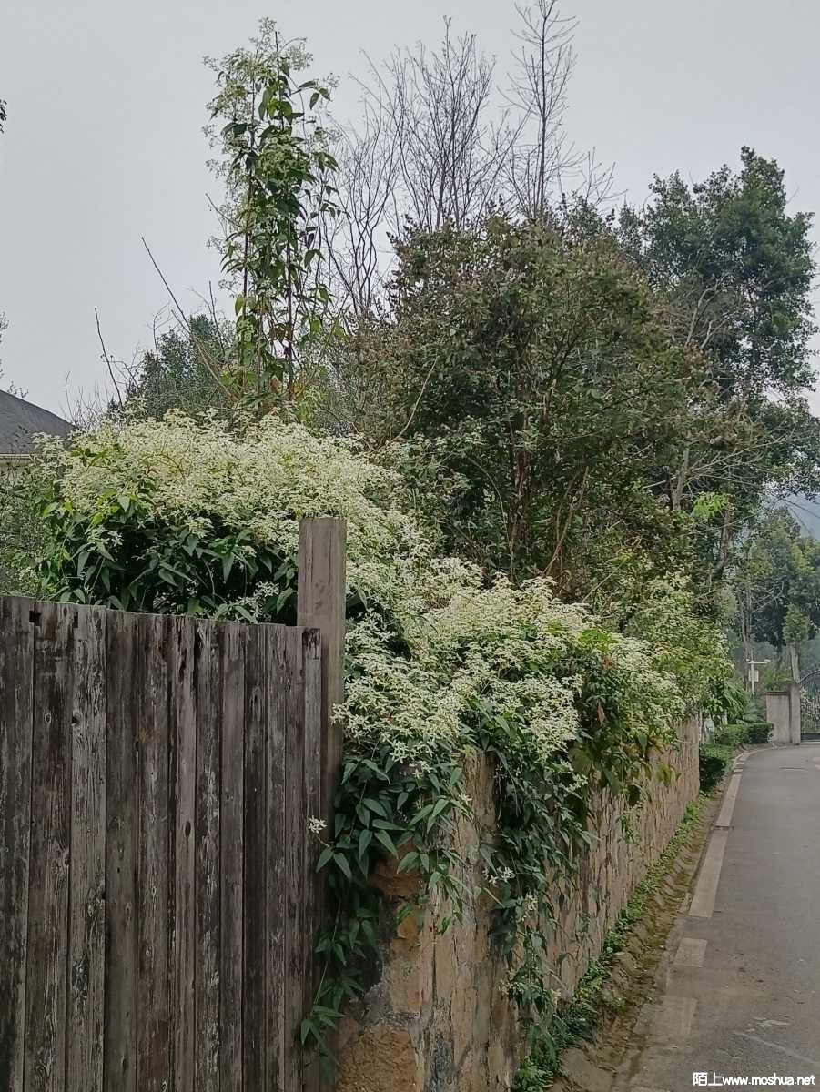 1678150841396481.jpeg