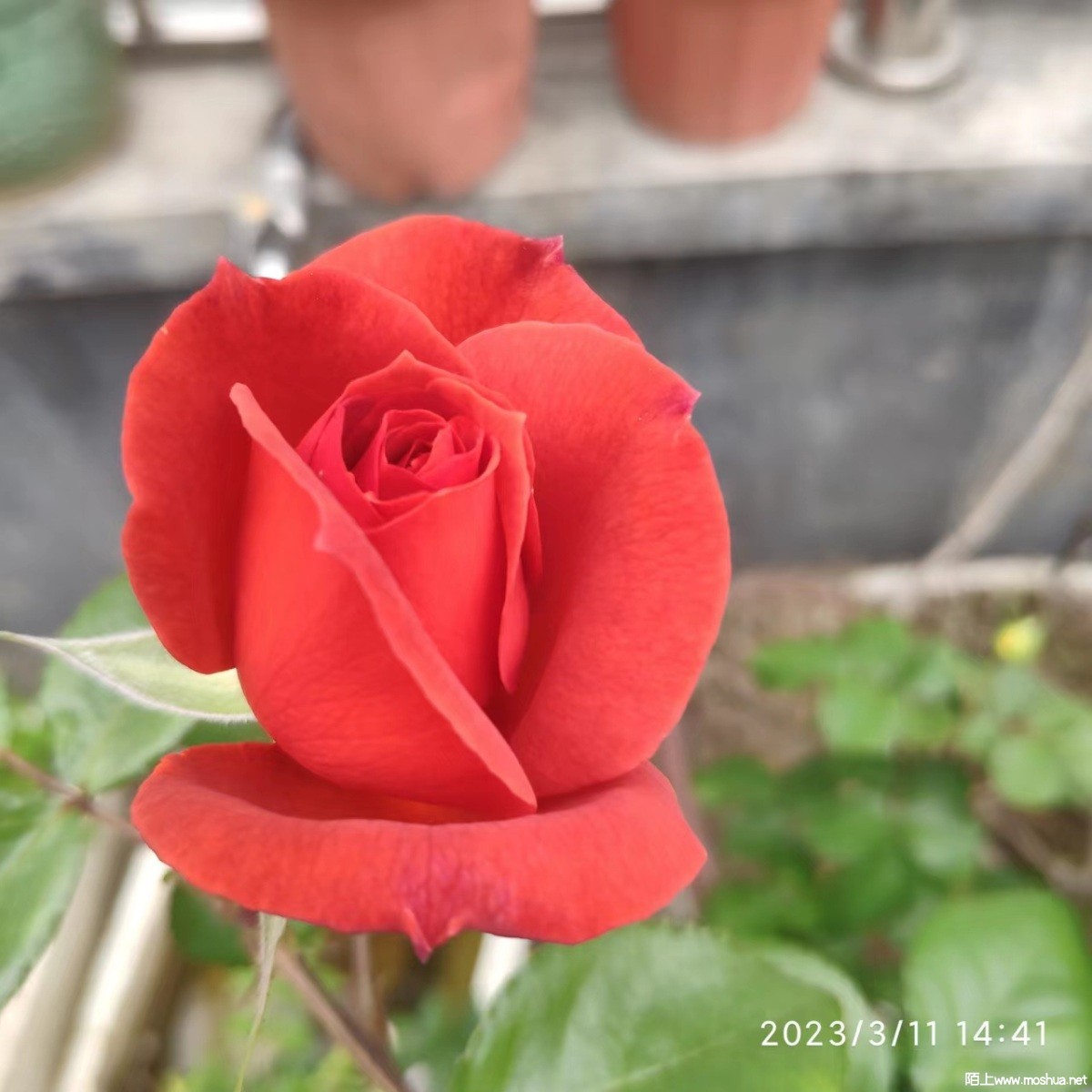 ΢��ͼƬ_20230311212728.jpg