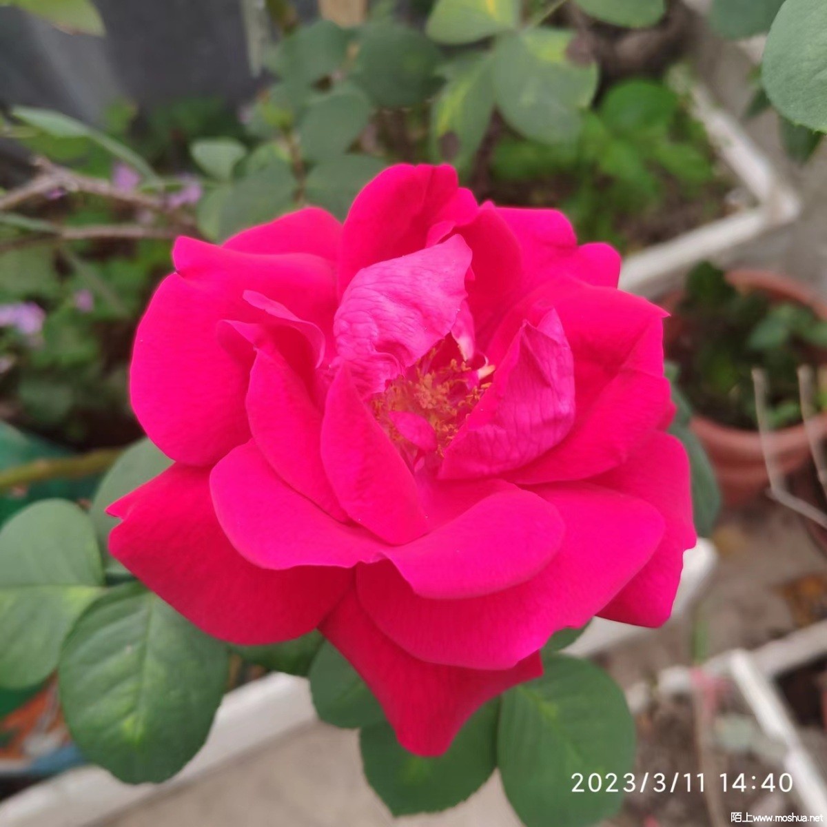 ΢��ͼƬ_20230311212721.jpg