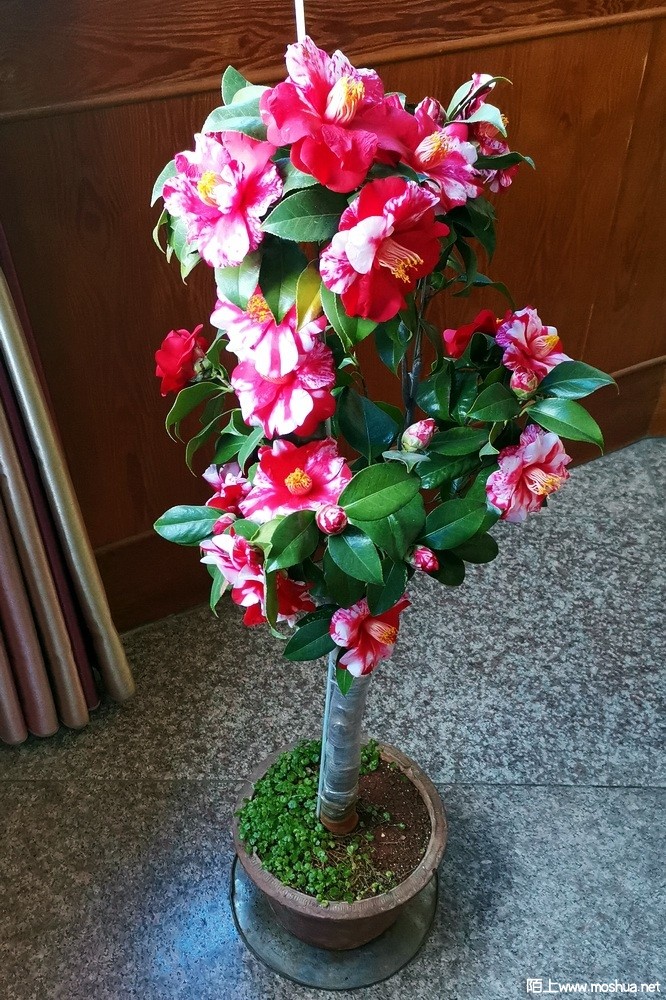����֮�� (73).jpg