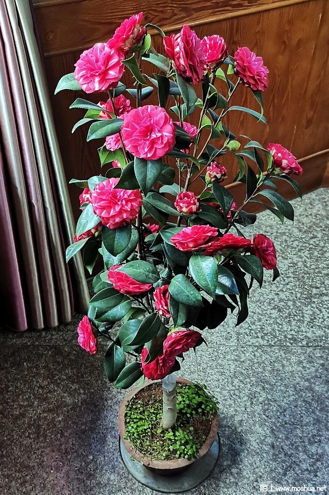 ������ŷ (47).jpg