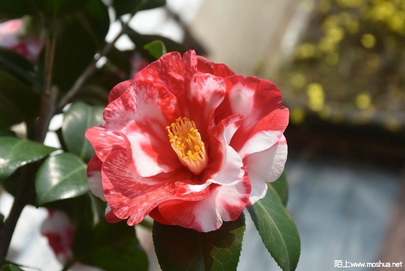 DSC_01220122.JPG