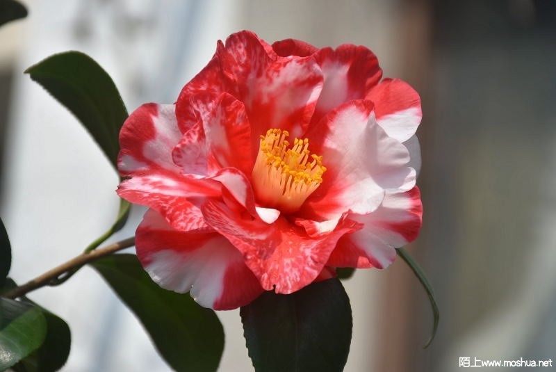 DSC_01290129.JPG