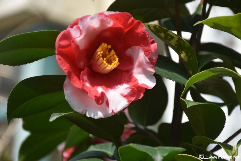 DSC_01400140.JPG