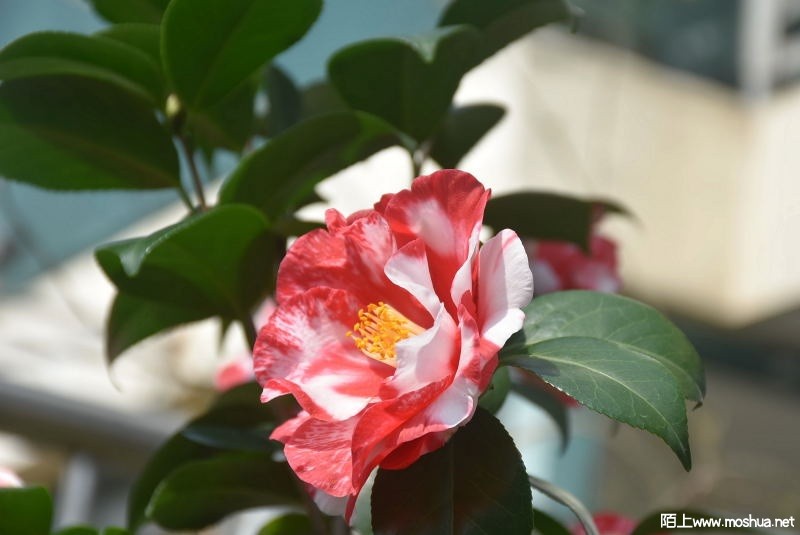 DSC_01280128.JPG