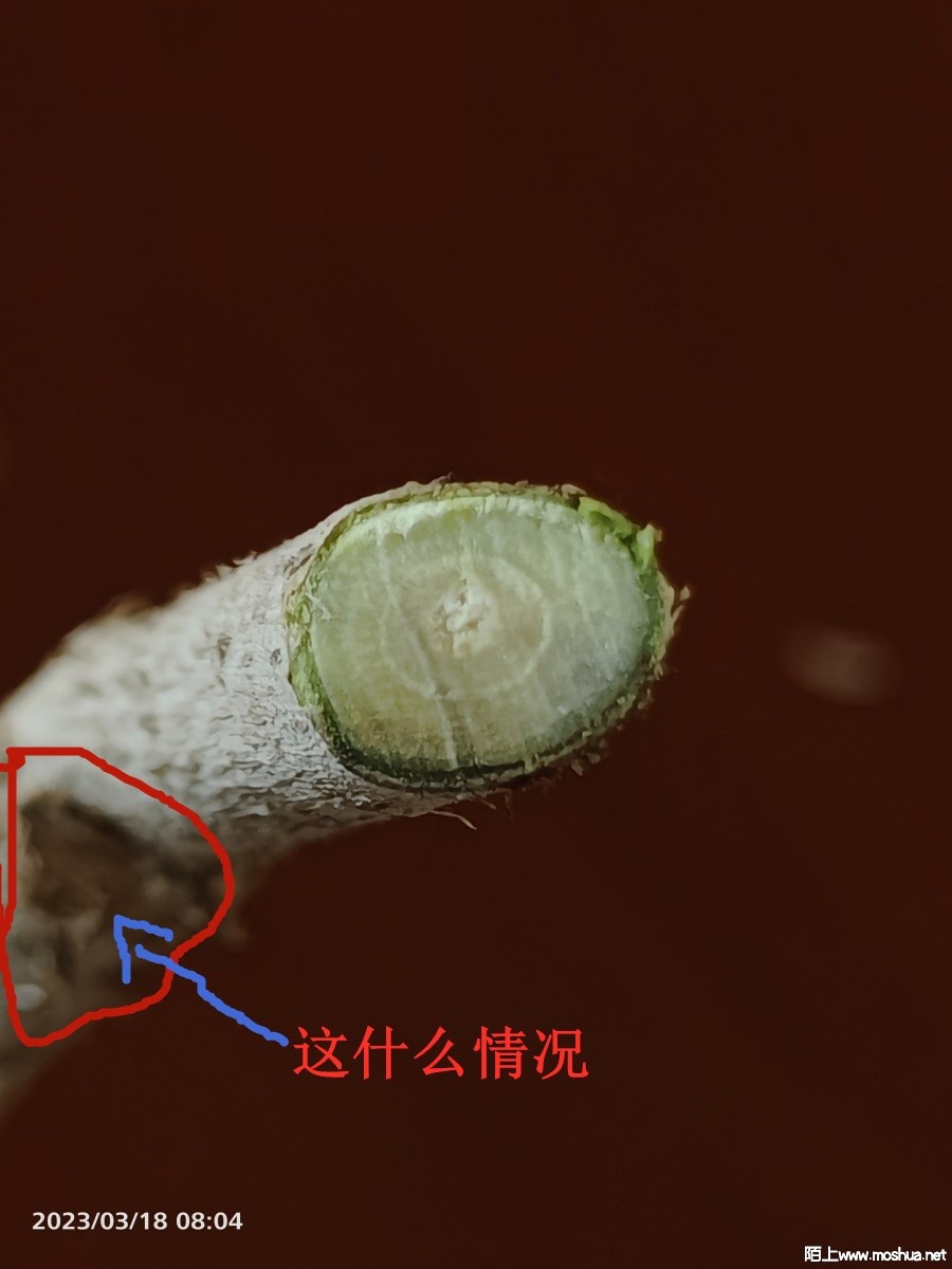 a0c3141a8ca84431dd104749bb2e2e57_080958snrrrvnyfnngf8th_����_����.jpg