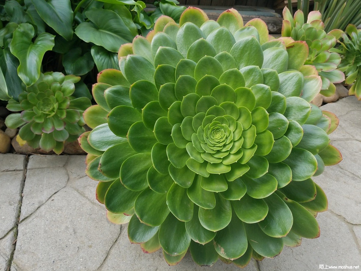 335522903_2466122906876045_2966151795416205809_n.jpg