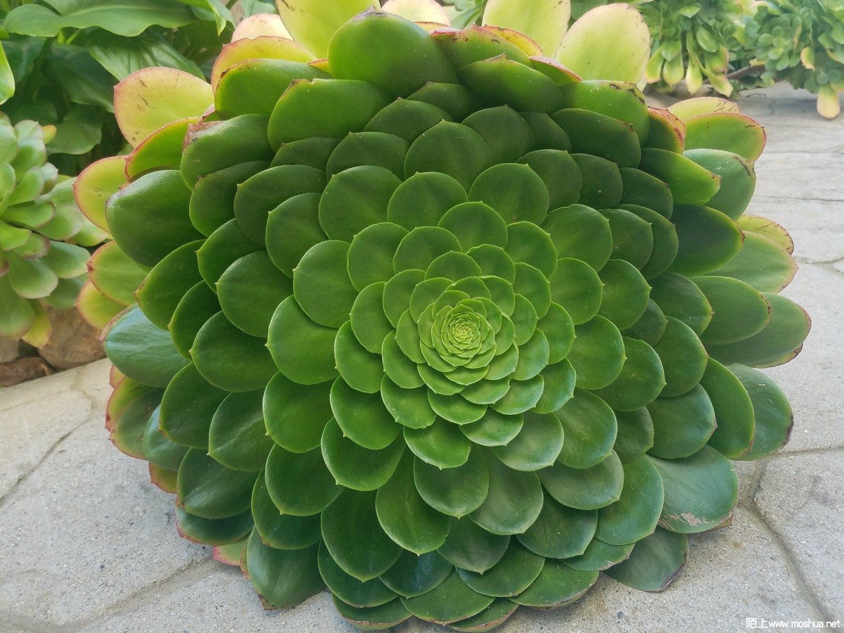 335692870_201835302449338_649253228367827203_n.jpg
