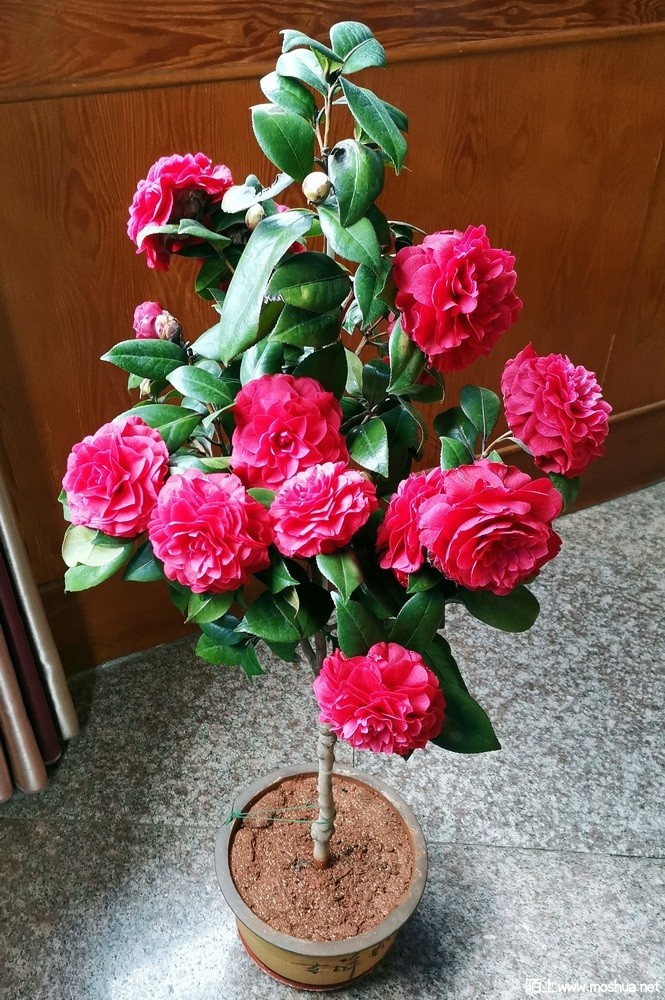 �ڱ��� (69).jpg