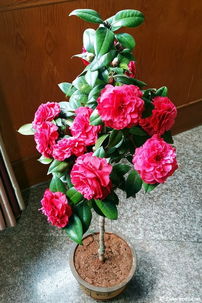 �ڱ��� (71).jpg