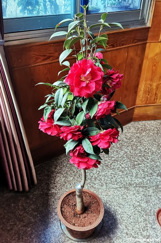 ʥ��ñ (87).jpg