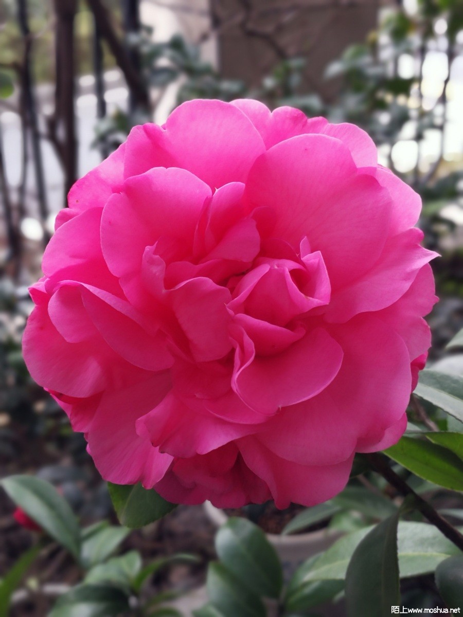 1066329849.jpg