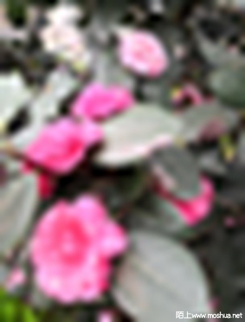 IMG_20230210_124805.jpg