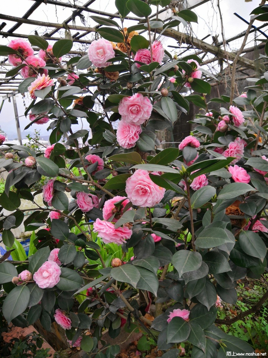 IMG_20220124_133512.jpg