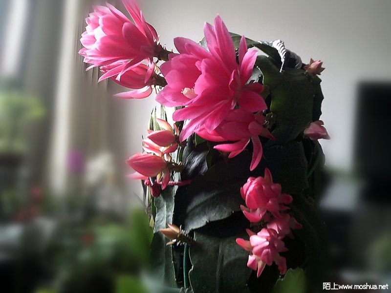 DSCF0001 (2)_����.jpg