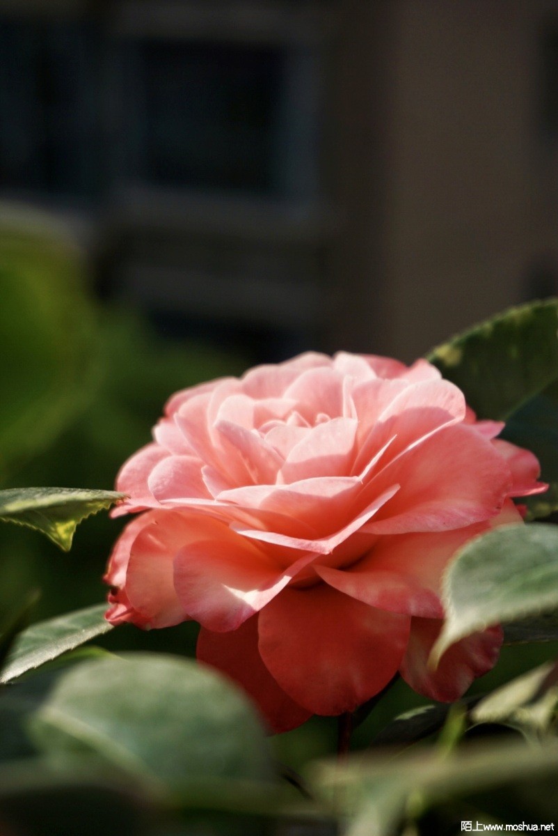 9D917BE5-1AD3-4715-99F8-6A5F8CB96DB5.jpeg