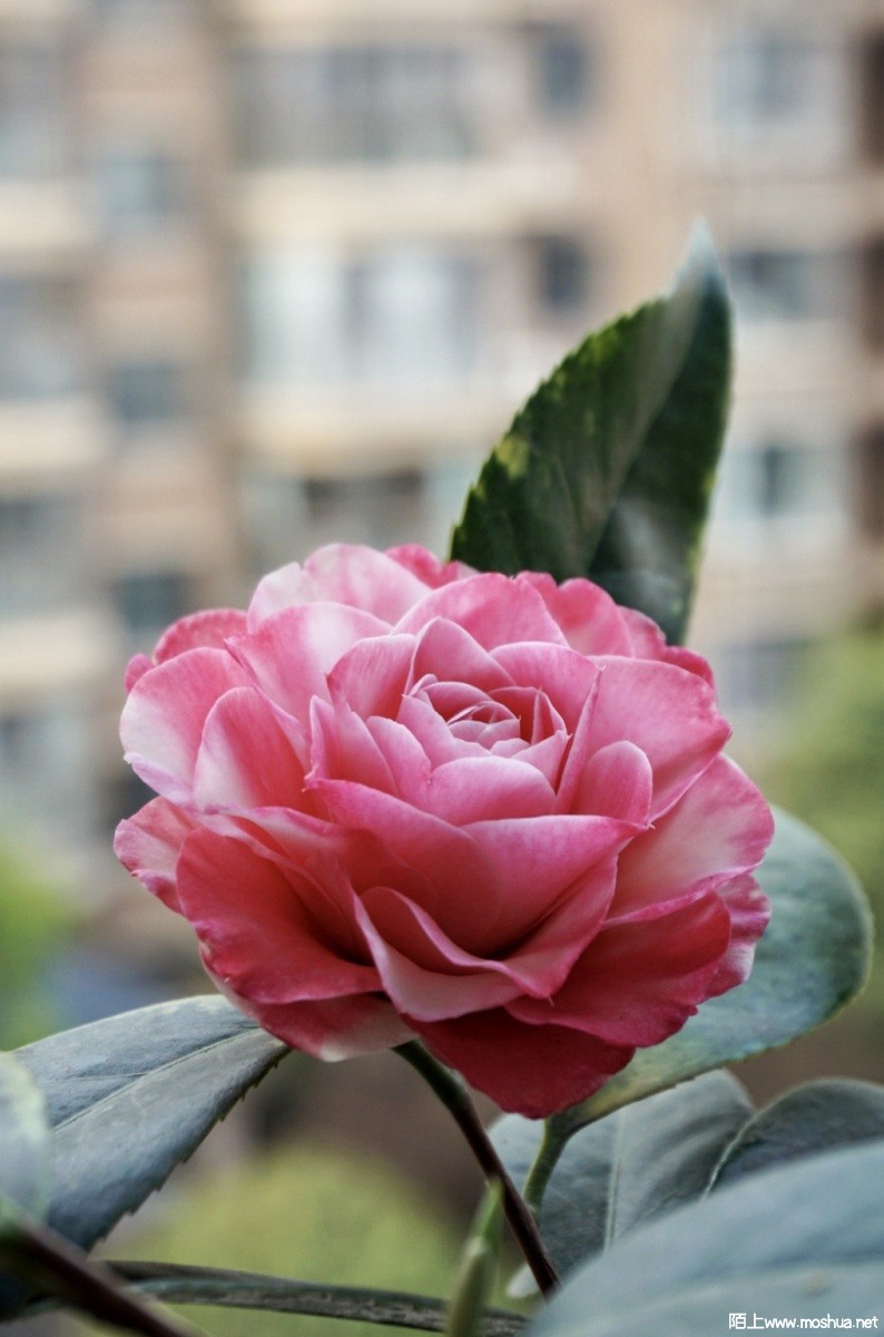 569ABF19-B7C4-42CF-999E-1B5973619239.jpeg
