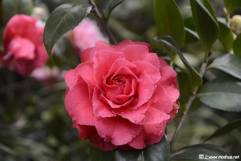 _DSC38740315.JPG