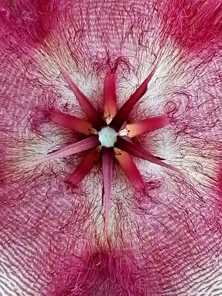 339031305_752119936311255_8289130038009478621_n.jpg
