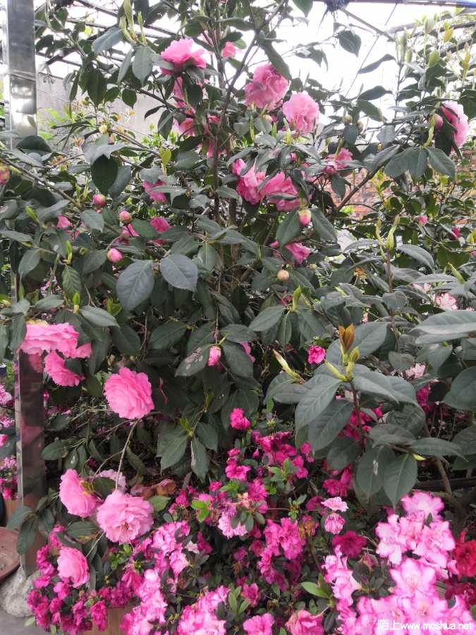 IMG_20230403_094140.jpg