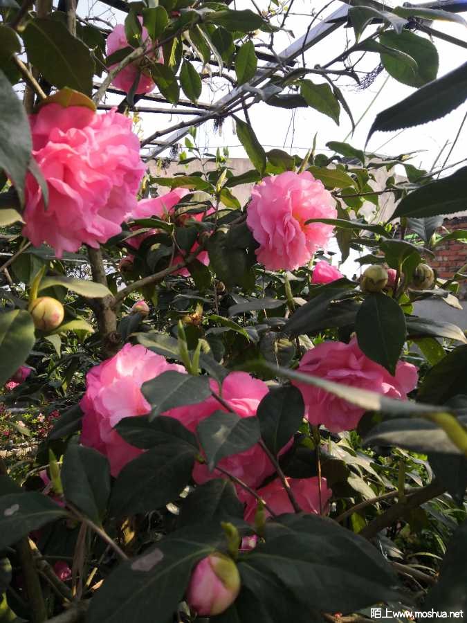 IMG_20230401_095440.jpg
