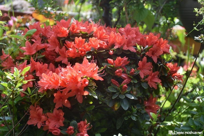 DSC_02510251.JPG